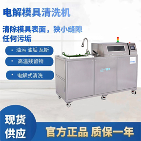 双槽电解模具清洗机